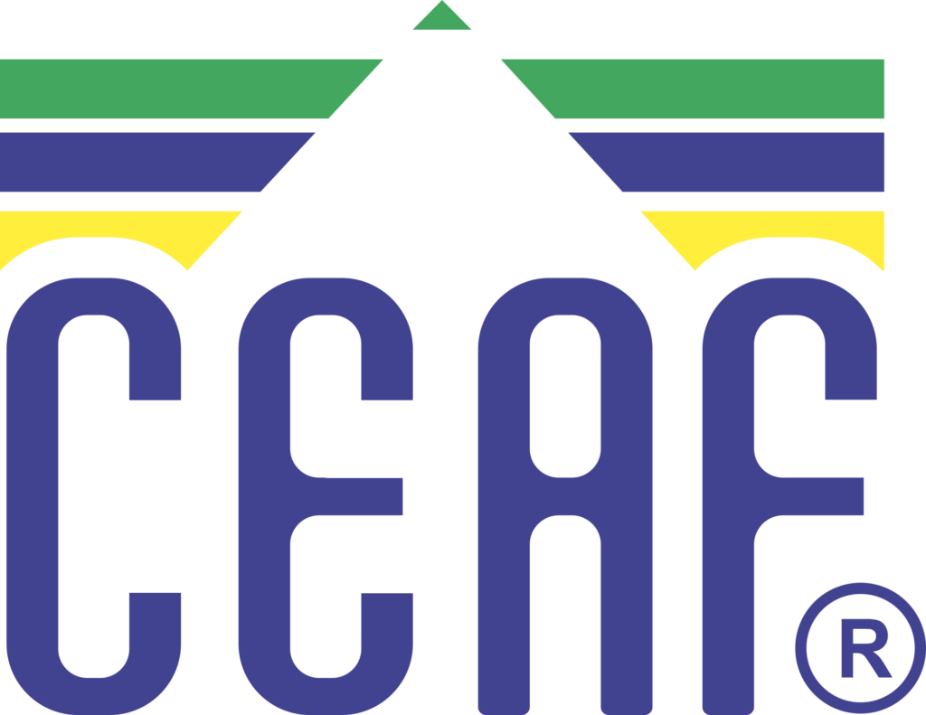 Proposta Pedagógica – CEAF | Centro Educacional Anália Franco